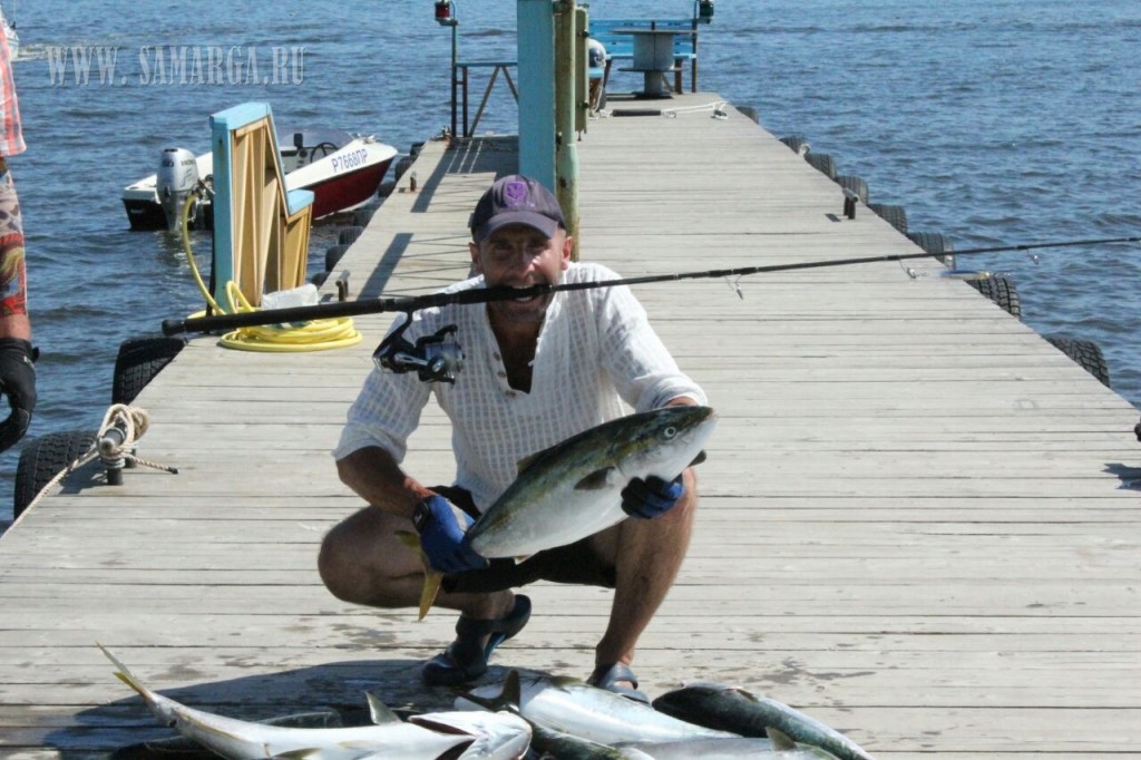 ��������� "������� 2017"/  Yellowtail Festival 2017