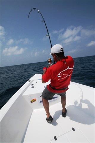 ��������������� ����� "Saltywater Tackle" � "Hots".